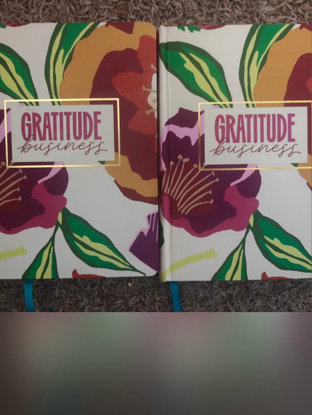 Tabitha Brown Gratitude Floral Hardcover Journals - White, Green, Pink, Orange